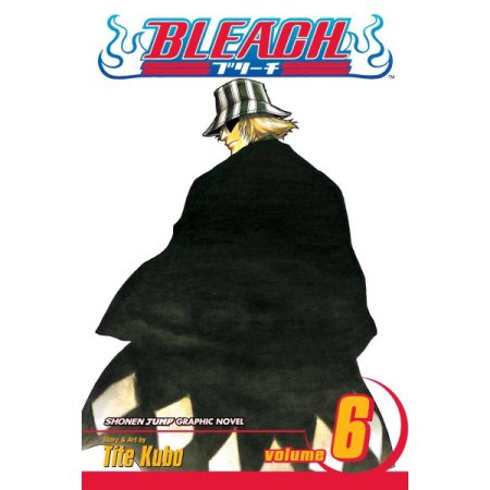 Bleach 06 - English Manga