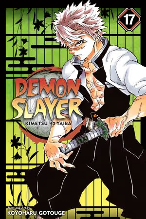 Demon Slayer: Kimetsu No Yaiba 17 - English Manga